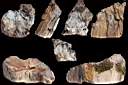 petrified wood0003.jpg